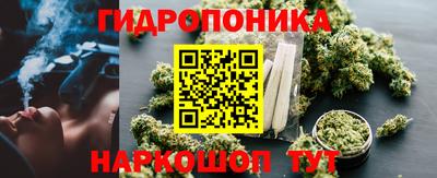 мяу мяу мука Холмск