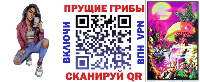Псилоцибиновые грибы Psilocybe Богданович