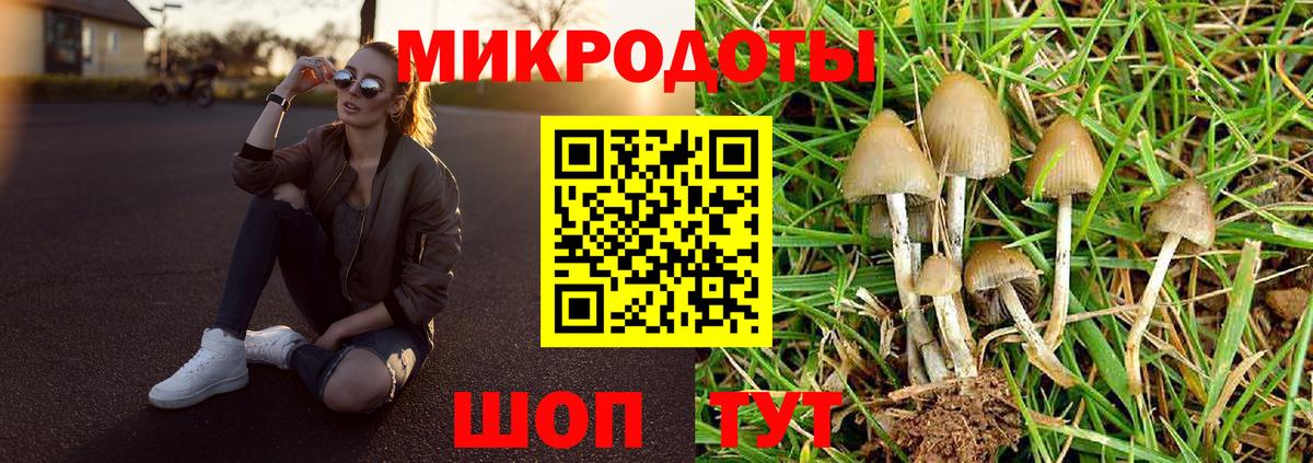 Галлюциногенные грибы мухоморы  Вход с VPN  Богданович 